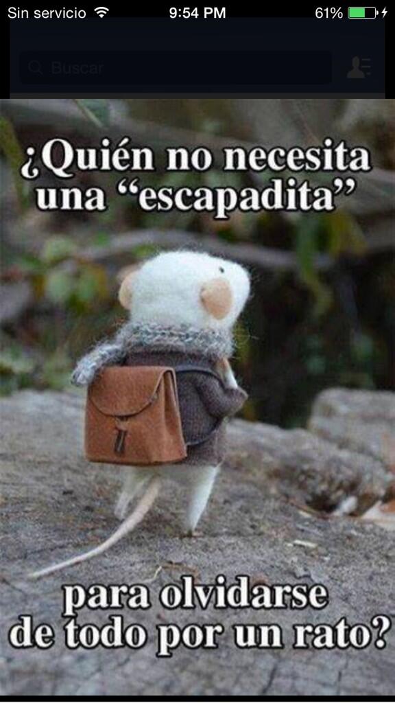 <a href="/JulietaLucenaa/">Julieta♡</a> <a href="/MaquiVargas/">Maquiiiiiiiiiii ❣</a> <a href="/Benitezmel/">Capullito de Aleli</a> alta escapadita 😊