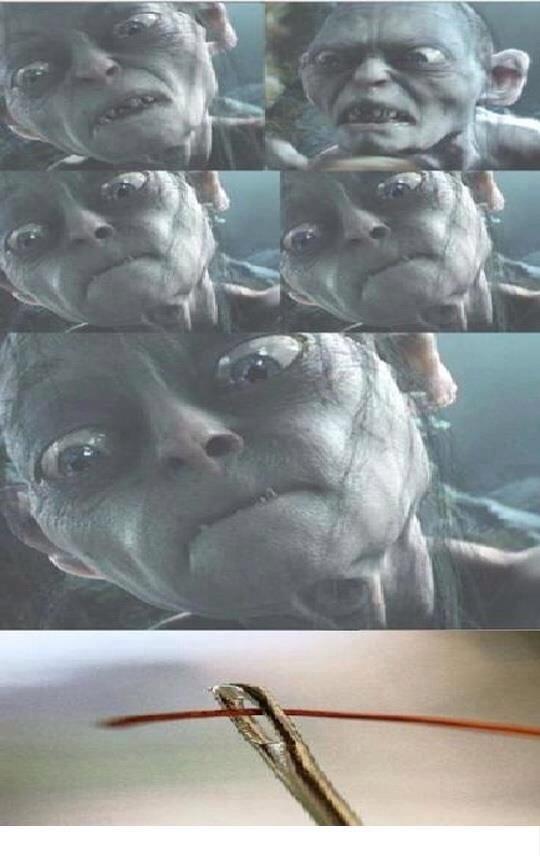 tenshinhanmx's tweet image. La cara que pones cuando ayudas a tu abuelita con el hilo #truestory #PrimerEclipseDel2014