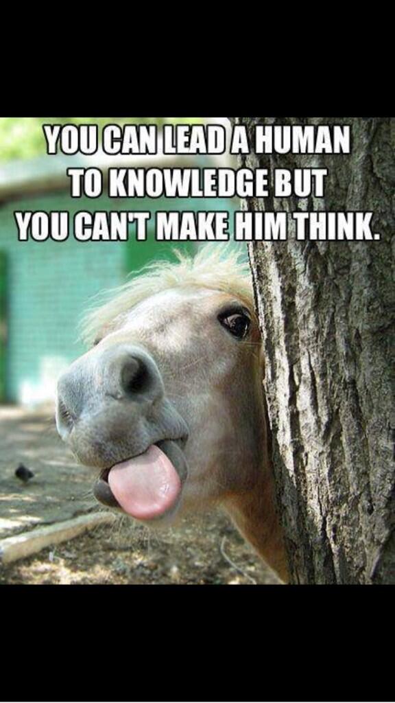 molly_monro's tweet image. Come on people #thinkitout #knowledgeispower