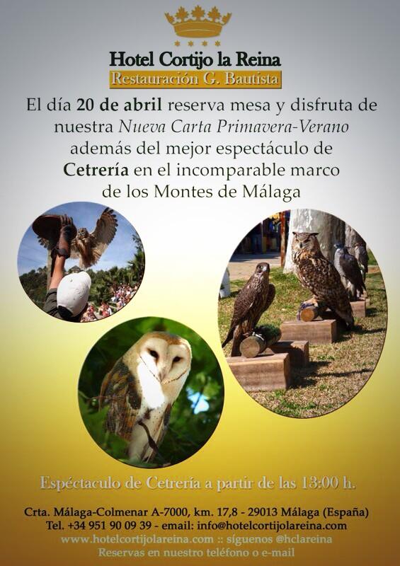 gercor9's tweet photo. Este domingo gran espectáculo de cetrería en @HClaReina @MariaEsteveF @ManducareRest @Sara_thinking @bookealo http://t.co/fILM0XEQ2O
