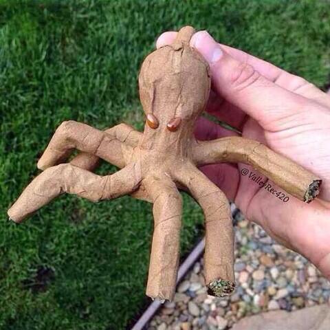 "@TedOfficialPage: White people can never just smoke a regular blunt http://t.co/kA82wElNmN" @Ashley_Haze<a class="tags" target="_blank" title="On Twitter" href="/?out=eyJ0eXAiOiJKV1QiLCJhbGciOiJIUzUxMiJ9.eyJpYXQiOjE3MjU1MDM2MTMsImlzcyI6InR3cG9ybnN0YXJzLmNvbSIsIm5iZiI6MTcyNTUwMzYxMywiZXhwIjoxNzU3MDM5NjEzLCJyZWRpcmVjdF91cmwiOiJodHRwczovL3R3aXR0ZXIuY29tL1RlZE9mZmljaWFsUGFnZSJ9.H63aQwnUhPwHiVIRS5_4_klUNNw9pElJaio1JXby0xN6IsbT3aLY9E2l1TaSL-jAqh3O5ZMw7hkV-LgOMoX3Ng">@TedOfficialPage</a>