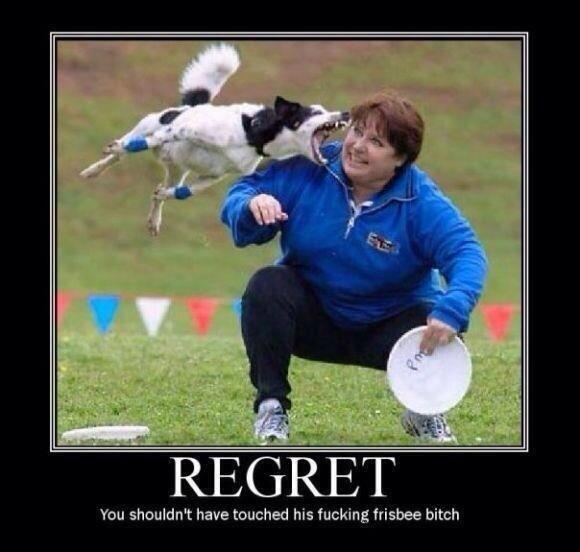 Shmoo Report. (@shmooreport) on Twitter photo 
