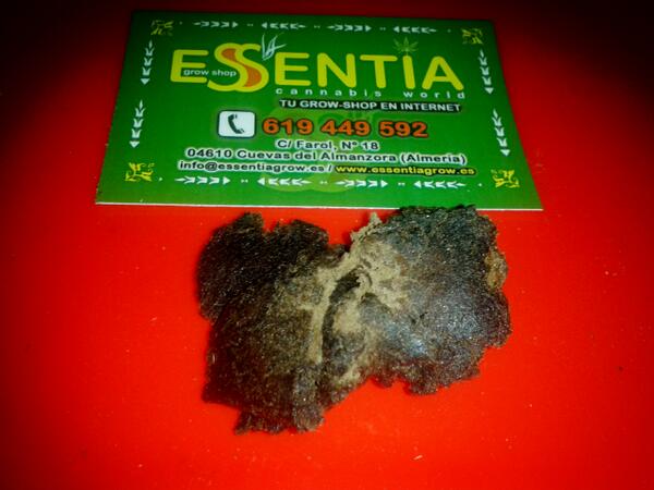 Essentia Grow-shop tweet media