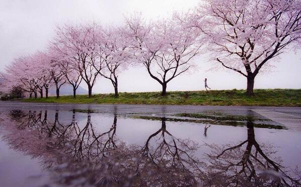 Gabriele Corno tweet media