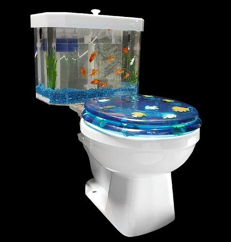 MejoresMemesEs's tweet photo. QUE COJONES! RT SI TE GUSTARIA TENER UNO EN TU BAÑO http://t.co/vERYQ9pG3Z