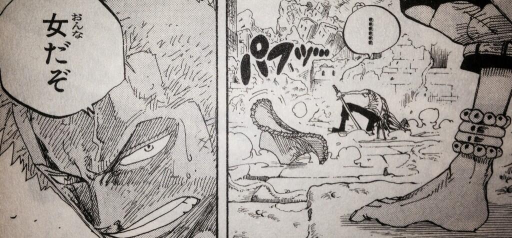 ワンピースのマニアック迷言 名言 على تويتر 女だぞ ゾロ T Co G3aeppwuuo