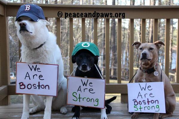 goodnews's tweet image. #BostonStrong @GiddyTwinkle