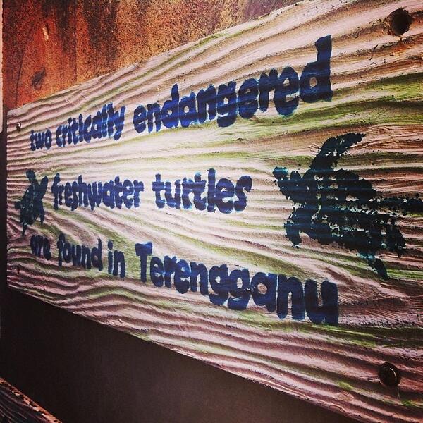 abackpackerstal's tweet image. Turtle Alley. Let's protect the endangered sea turtles of Terengganu. #travel #igdaily #photoftheday #touismteren...