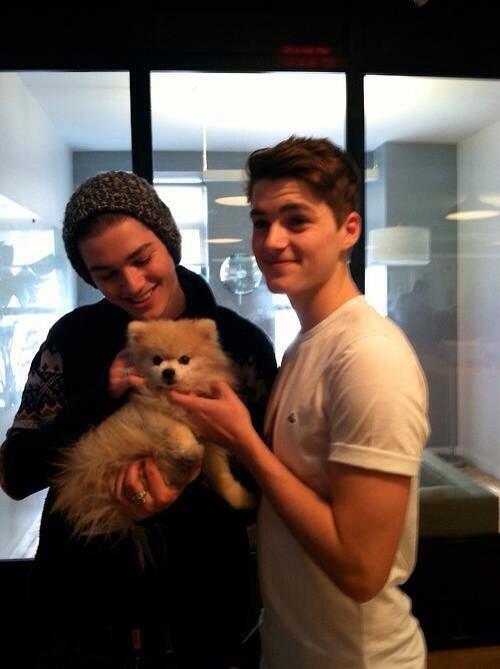 Jackharries_TH's tweet photo. แจ็คฟินน์มีสุขนัขชื่อว่า Toto #JacksGapFacts http://t.co/P1RDus5GWg
