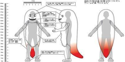 北斗市ご当地キャラ ずーしーほっきー V Twitter ずーしーほっきーの中身 T Co 76jiplgh58 Twitter