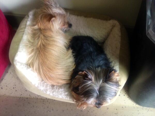 Our marketing team is slacking this morning!