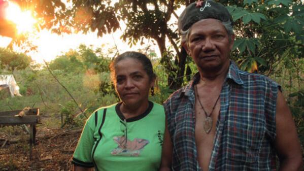 Killing Nature’s Defenders: Study Finds Global Surge in Murders of Environmental Activists owl.li/vQY2x