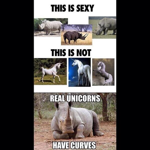 real unicorns have curves
