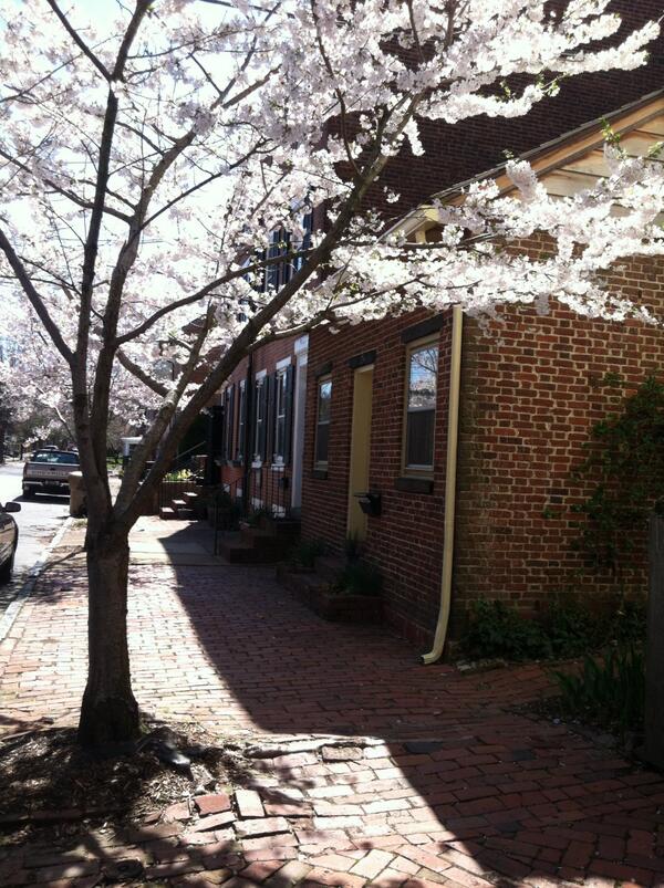Spring has finally sprung in Old New Castle, DE.  Plan a visit soon.