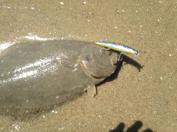 TsFishman's tweet image. 