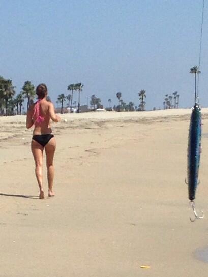 TsFishman's tweet image. 