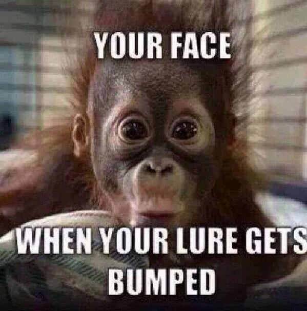 coopscob76's tweet image. @BASS_nation this is so true!! #monkeyface