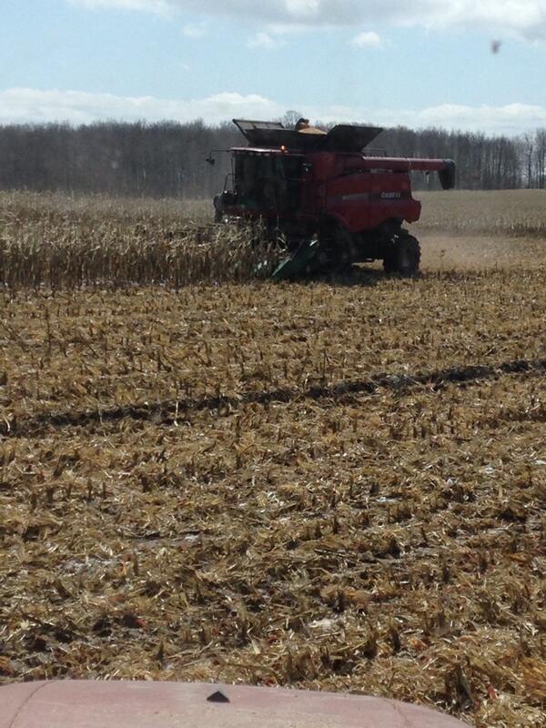 adamlangman's tweet photo. #harvest13 continues!  #corn #ontag http://t.co/vrtvmffxED