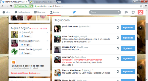 PPTeamAria tweet picture