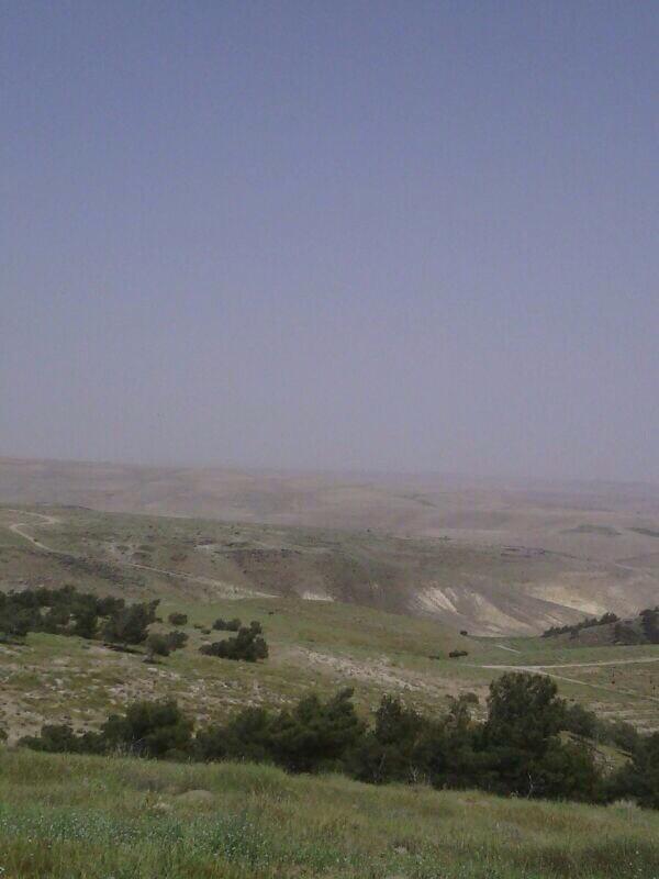 Juthoor_Prog's tweet photo. صور جديدة من موقع مبادرة جذور في #الكرك #الاردن #jo http://t.co/k7s1etvVjH