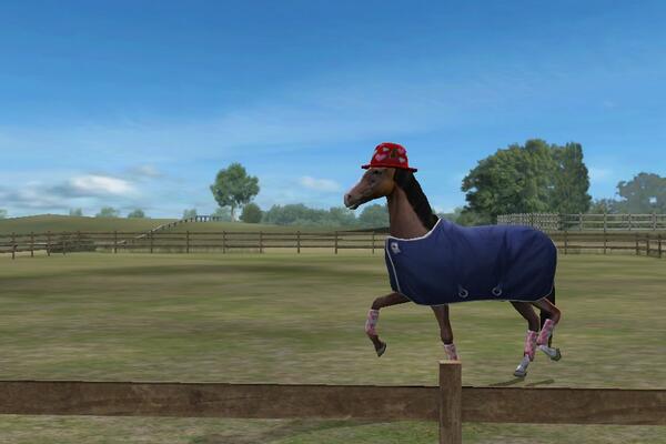maybeonlytime's tweet image. Check out my photo! Add me, GemaBolorino. #MyHorse  nmgam.es/horse_twitter