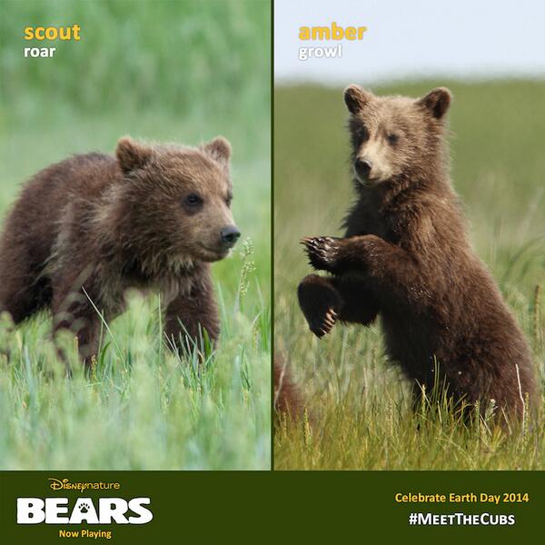 TheWaltDisneyCompany tweet media