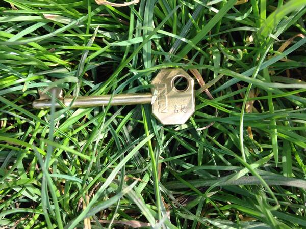RichardRose8's tweet image. @We_Love_Hale @HaleAltyLife #keyfound on a walk around the #Bollin today. Do we know anyone who has #lostkey?