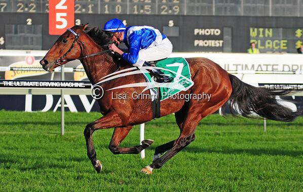 LisaGrimm9's tweet photo. She was in another zone 2012 @MoreJoyous #Doncaster #QEStakes 
#Champion @GaiWaterhouse1 @ChampionshipsRR @nashhot http://t.co/eaSGMKPJRR