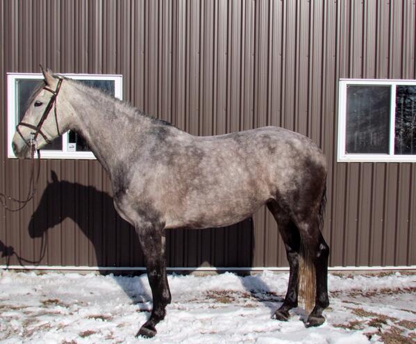 CanadianEventer's tweet image. 