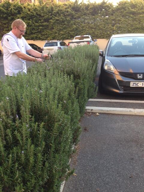 GrChifley's tweet photo. Here is Julian again picking up fresh rosemary for his evening guests #restaurantaustralia #Zoukrestaurant http://t.co/ETulIKuZOq