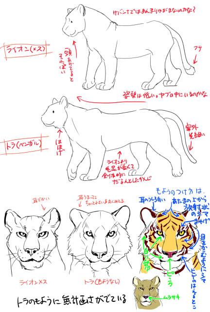 これはすげえ参考になる 動物の上手な書き方いろいろ