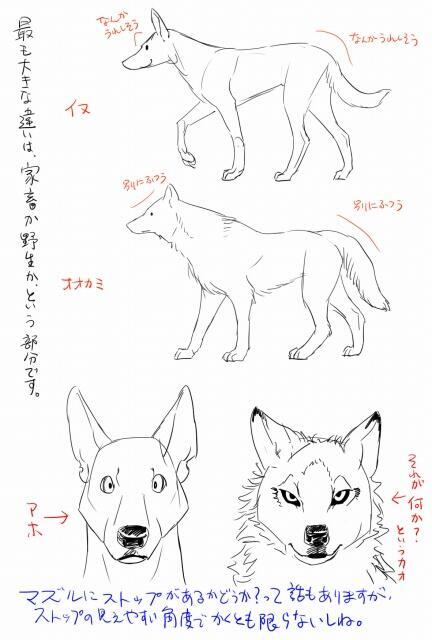これはすげえ参考になる 動物の上手な書き方いろいろ