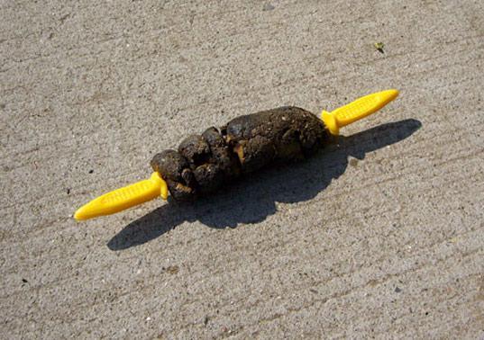 The_DailyDump's tweet photo. Corn On The Cob @danieltosh @_BIGCAT #numnum #stuckinmyteeth http://t.co/hJabaKo73l