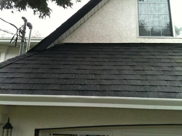 GC_Window_Clean's tweet image. After we did the moss removal # great job