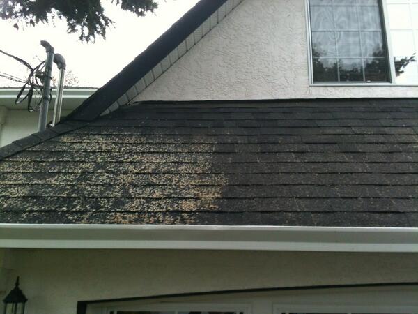 GC_Window_Clean's tweet image. Before we did a moss removal on a customers roof #dirtyroof