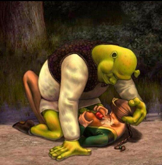 Shrek Sex - Shrek Porn on Twitter: \