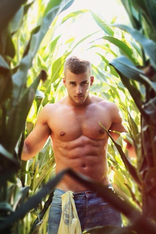 SweetSouthSpice's tweet image. #Farmboy #southern #fieldfun