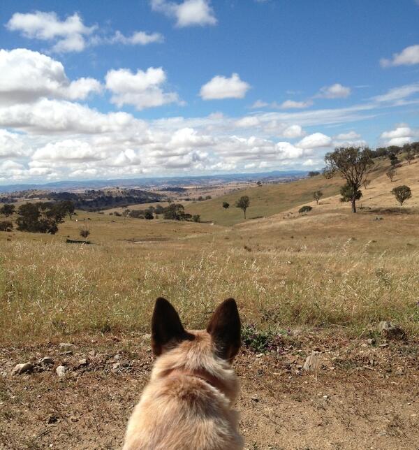 WIRED OPEN DAY 2014 Sat 3 May 2pm - 9pm limited tix avail book online <a href="/TheWiredLab/">The Wired Lab</a> #artnews wiredlab.org/wired-open-day…