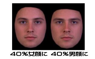 Twitter 上的 大島薫 男顔と女顔の違い 男顔 骨格正方形 あご大きい 唇薄い 鼻大きい エラや眉毛が隆起している 女顔 顔が縦長 目が大きい 鼻はほっそり 口大きい 唇厚い あご尖っている ちなみに女性は４０ 女顔の男性を好む傾向があるそうな 男女の違い