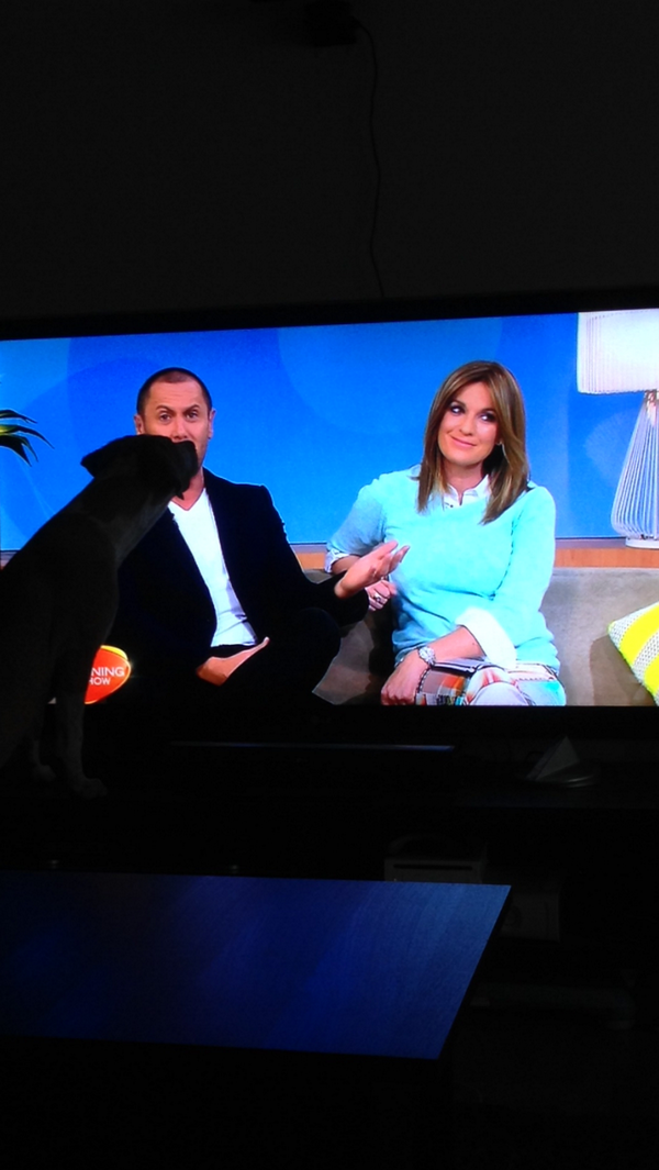 winterfield's tweet photo. @morningshowon7 I think my puppy, Audrey, is in love with @larryemdur! http://t.co/skWtD1fcN2