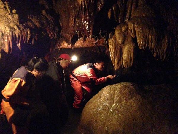 dheokumar's tweet image. 