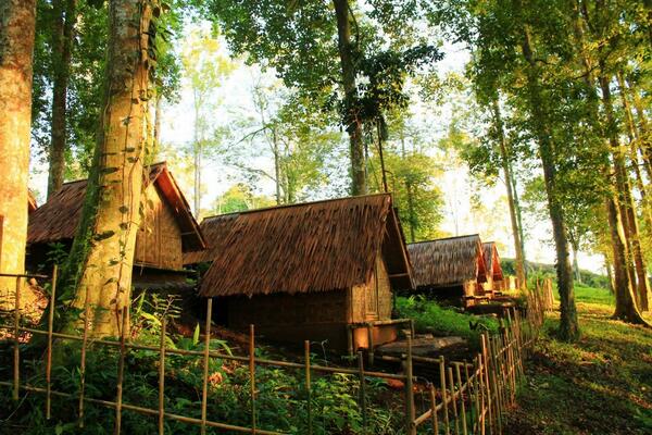 dheokumar's tweet image. 