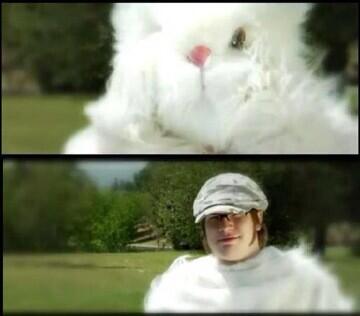 hellbands's tweet image. I wanna see your animal side