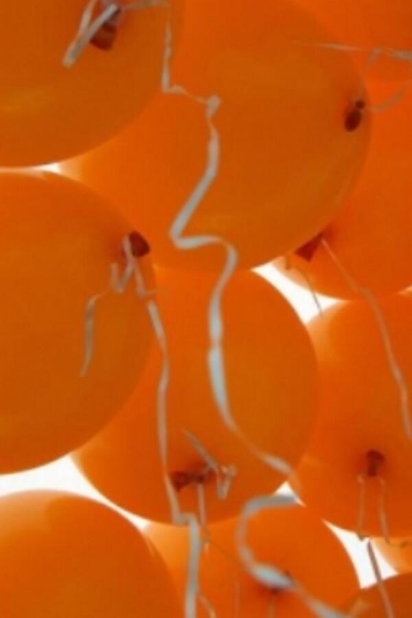 Ben jij al klaar voor Koningsnacht en Koningsdag? Café 't Spui-tje is dé plek waar je zijn moet op beide dagen! 👑🎉