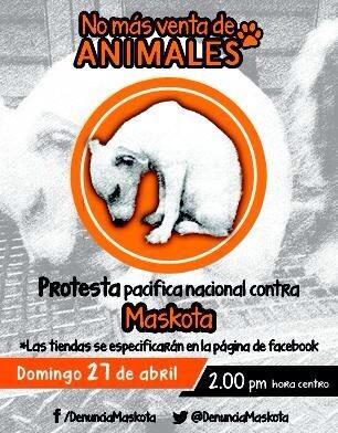 alefer63's tweet photo. RT #NoALaVentaDeAnimales @CanHijos @ElMuro_AC @raquelgarzac @lorenaserna21 @loredlagarza @Gigi_091 @GinaPharra  Grcs http://t.co/x1WDVe6j8u