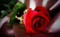 moon62810988's tweet photo. http://t.co/m77Zv12Qdy