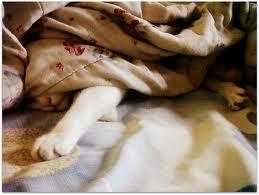 Hoje eu tava desse jeito kkk que luta!!