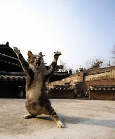 nastja_str's tweet image. @Lobenko90 вечерний привет.