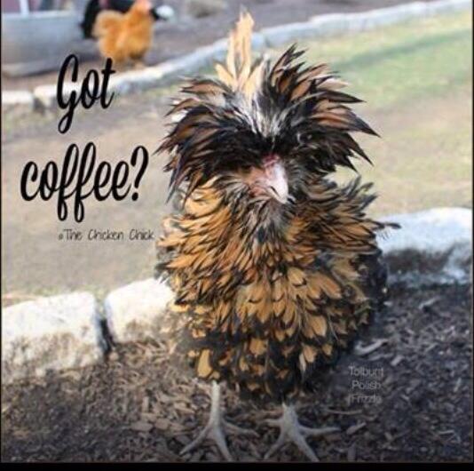 SweetMemsNWest's tweet photo. Don't worry if you feel like this,this morning we can help! Take out coffee also available! #lovecoffee http://t.co/QreOYsFTk8