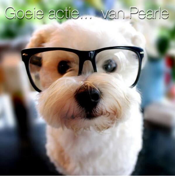 PetLifeMagazine's tweet image. 